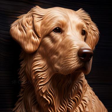 3D model st Curly   haired retriever dog (STL)